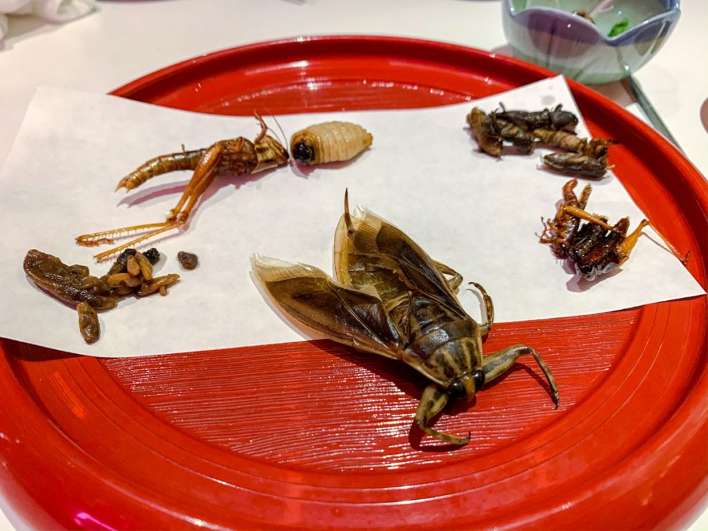 Plate full of juicy bugs
