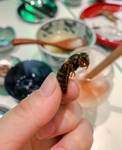 Dead wasp in insect soda