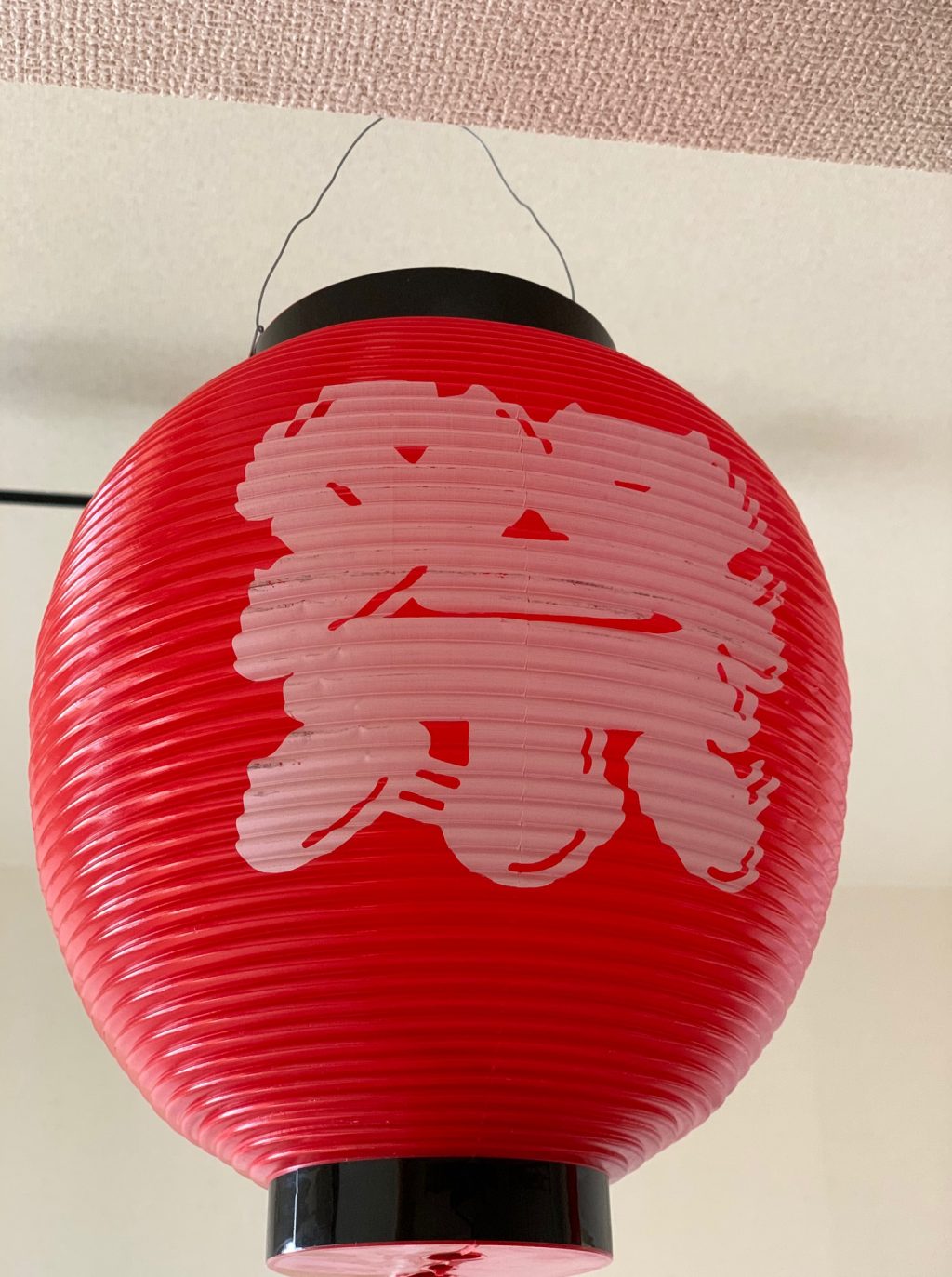 nothing says Natsu matsuri festival like lanterns