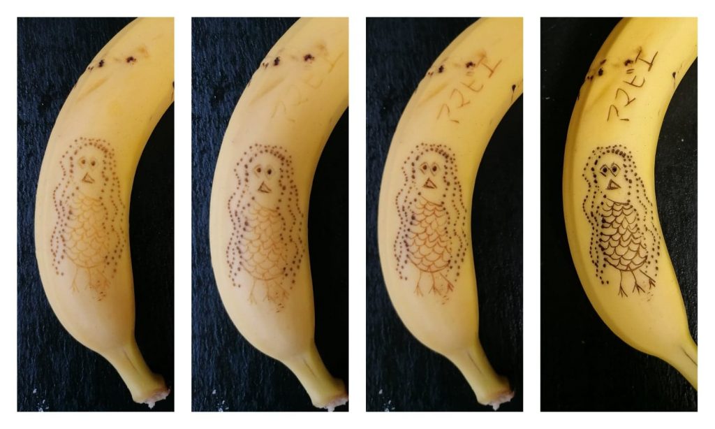 Amabie art banana gram